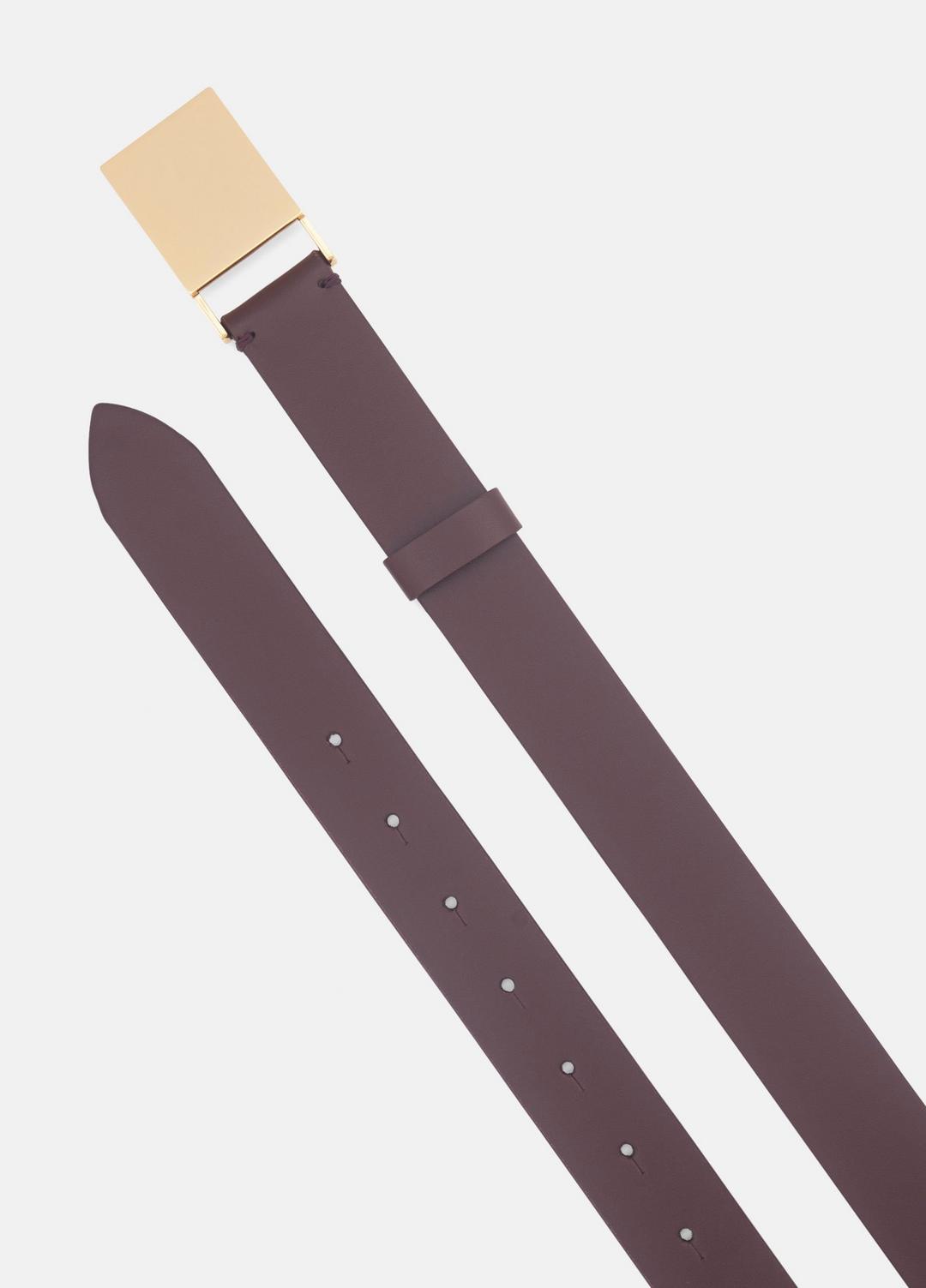 Women's 30mm Plaque Leather Belt in Belts