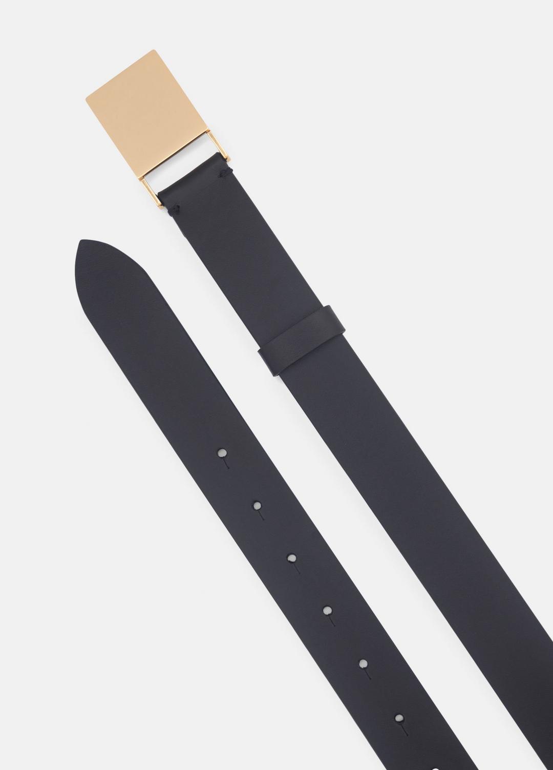 Women's 30mm Plaque Leather Belt in Belts