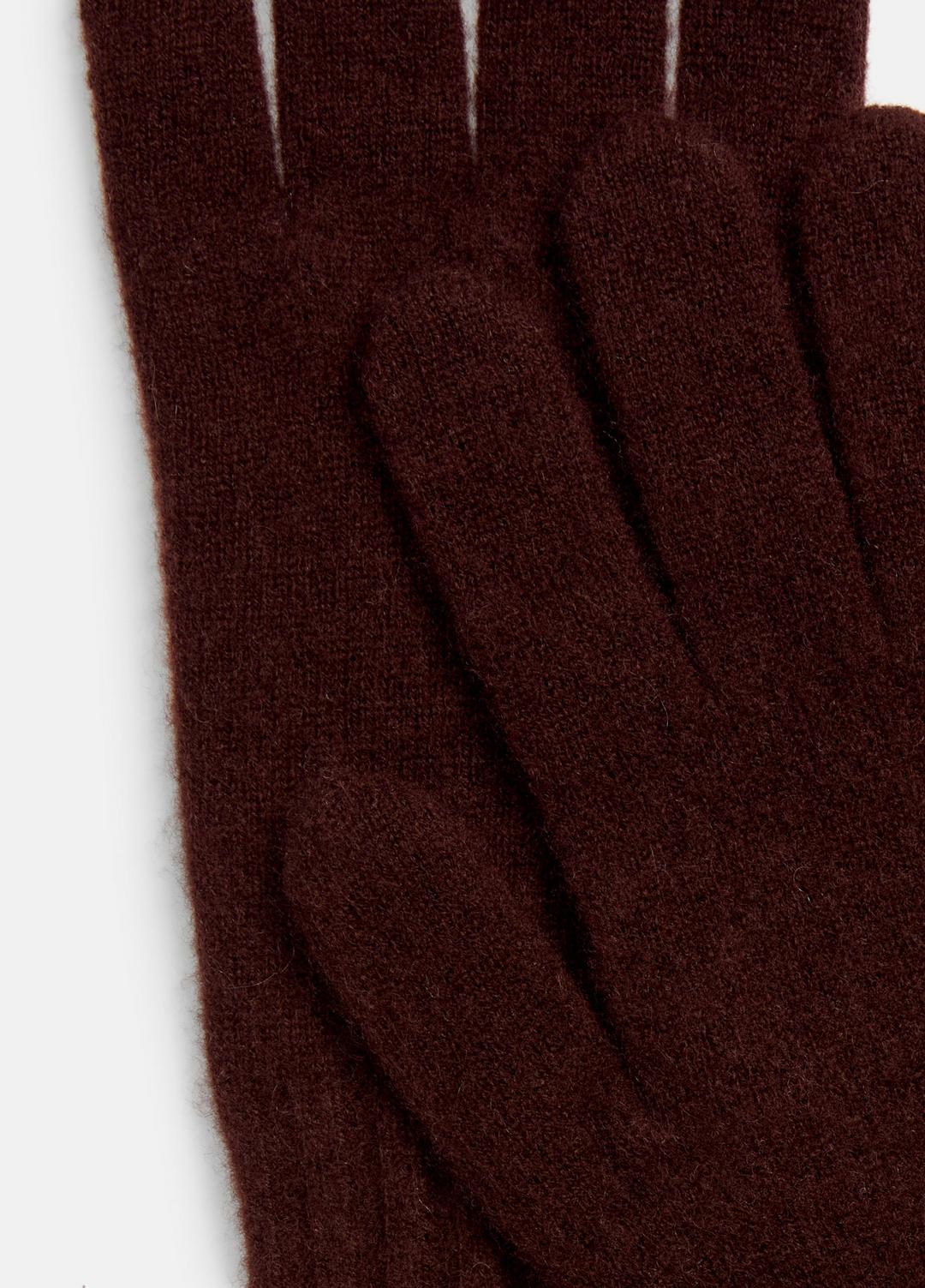Plush Cashmere Gloves in Gloves